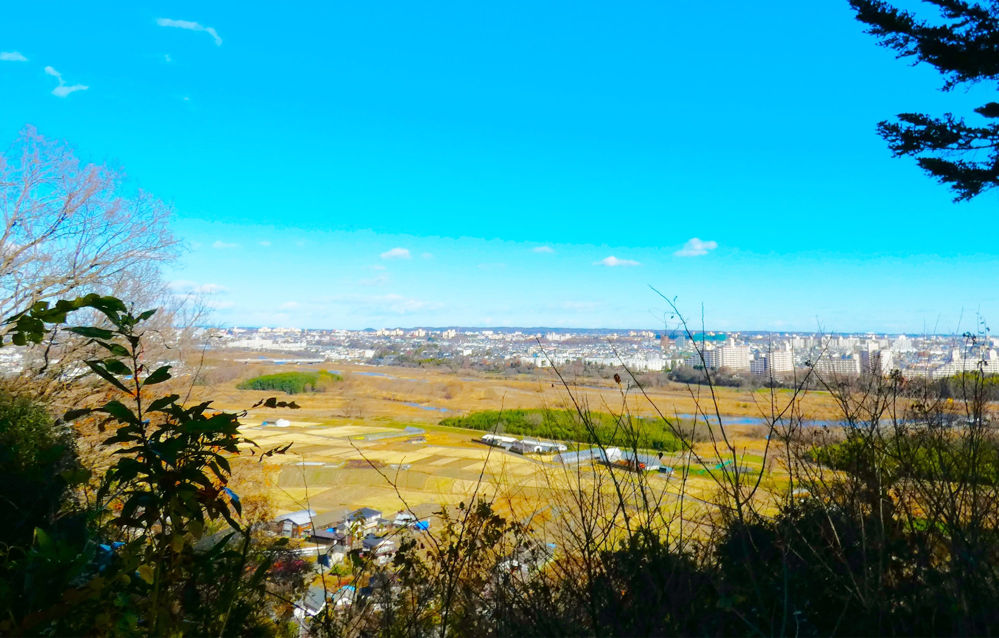 都立滝山自然公園